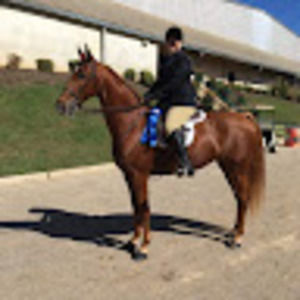 Meet your Posher, Lee